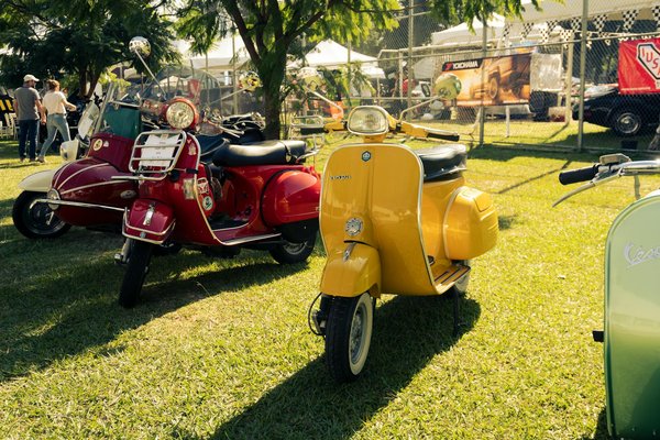 Scopri come selezionare la borsa perfetta per ogni attività quotidiana!